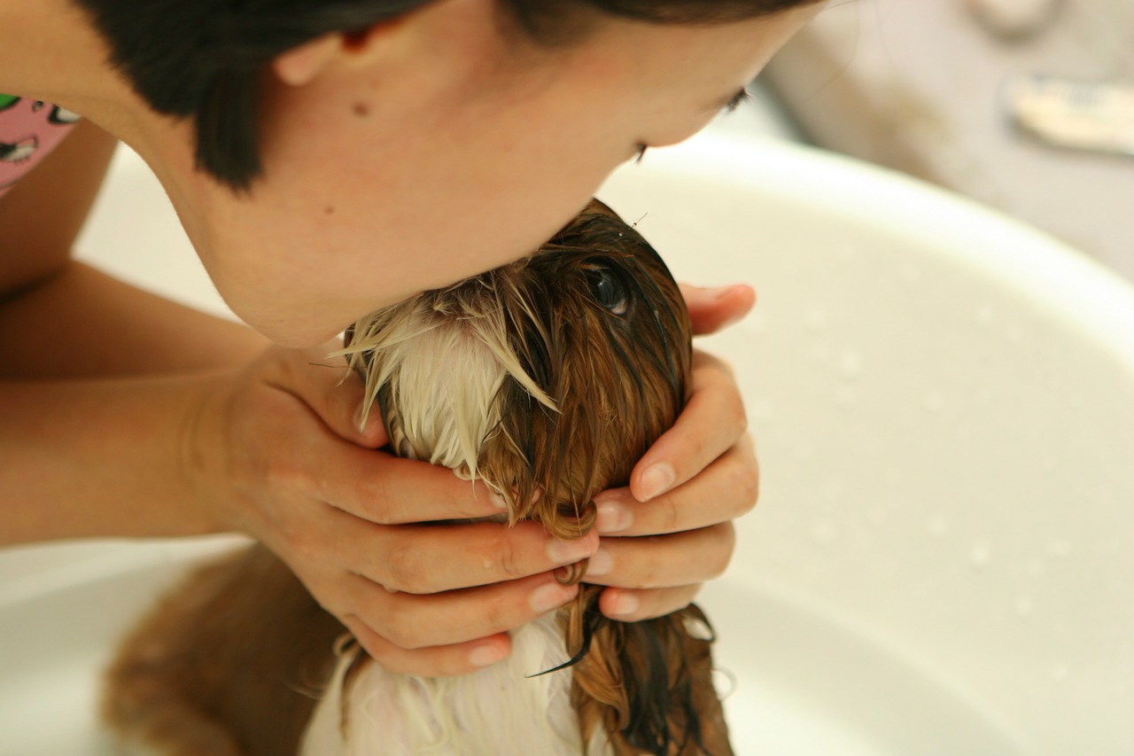 Najważniejsze elementy w dbaniu o higienę psa
